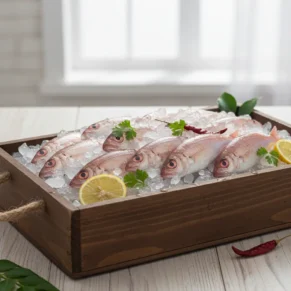 Red Snapper - Sankara