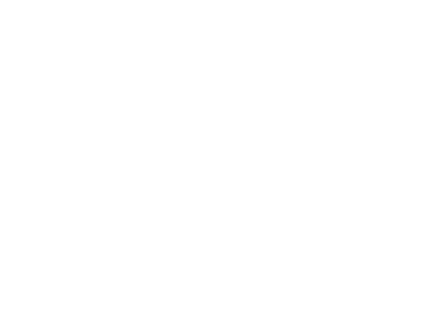 Bison Mart