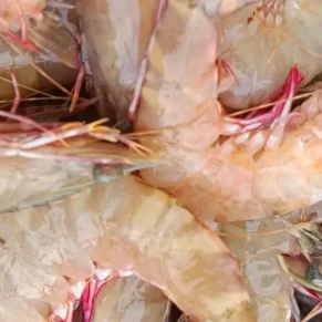 Prawns / Eraal