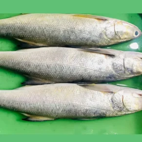 Indian Salmon Fish / Kaala Meen