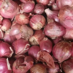 Onion Big வெங்காயம்