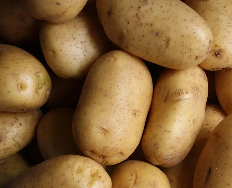 Potato உருளைக்கிழங்கு