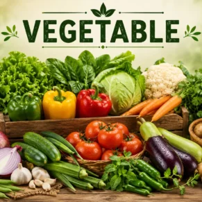 Vegetables